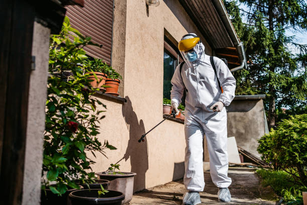 North Grosvenor Dale, CT Pest Control Company