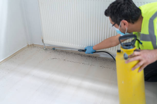 Best Emergency Pest Control  in North Grosvenor Dale, CT