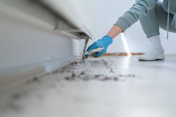 Best Mosquito Control Services  in North Grosvenor Dale, CT